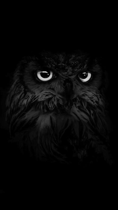 Чёрная Сова