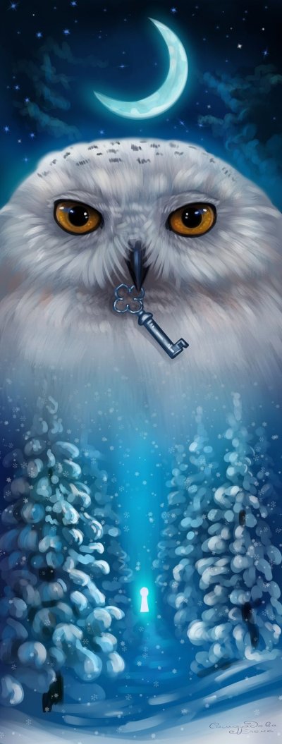 Елена Саморядова Совы