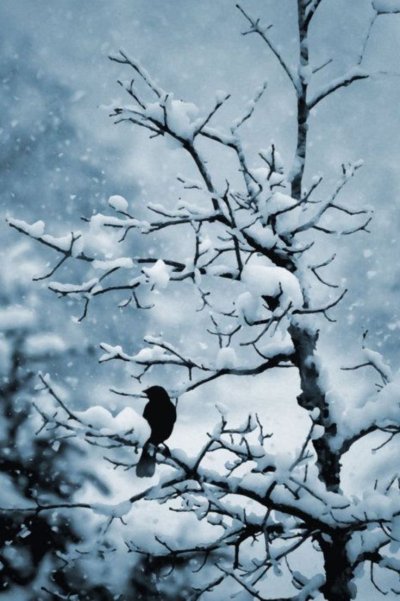 Грустная зима