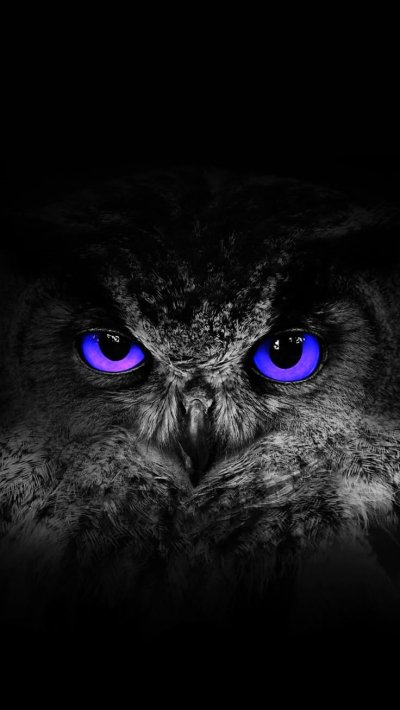 Глаза Совы