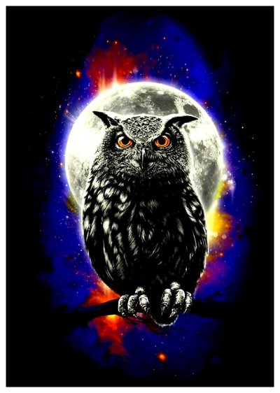 Сова на фоне Луны