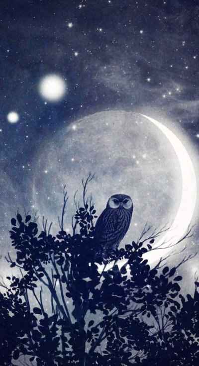 Ночная Сова.(Night Owl).1993