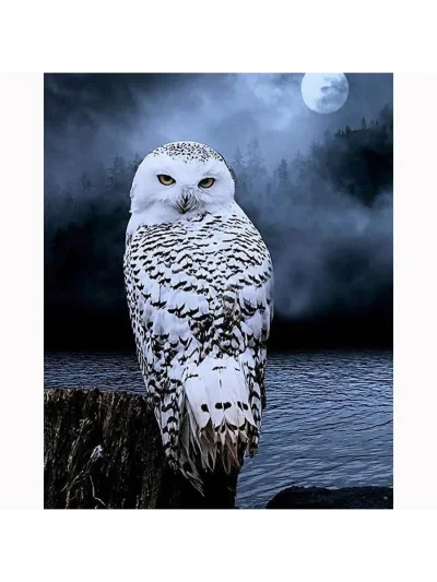 Полярная Сова птица