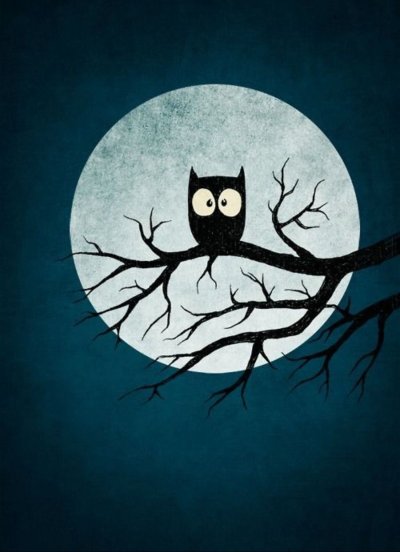 Сова на фоне Луны
