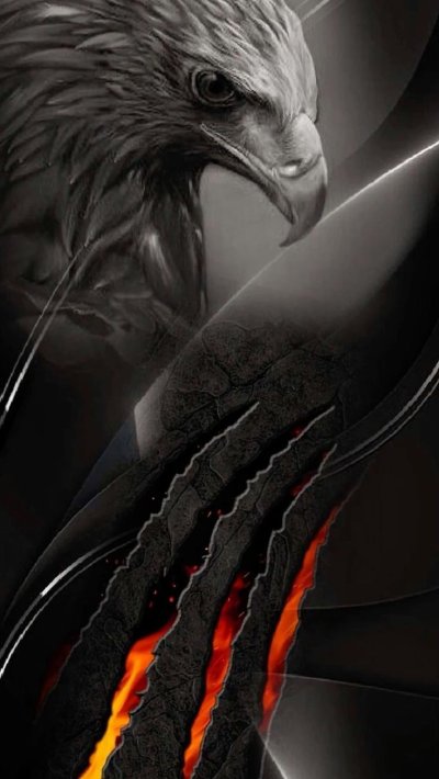 Орел обои на телефон
