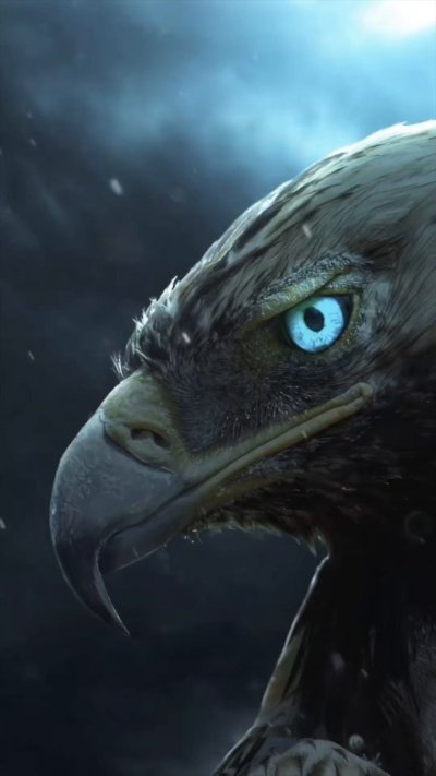 Орел обои на телефон