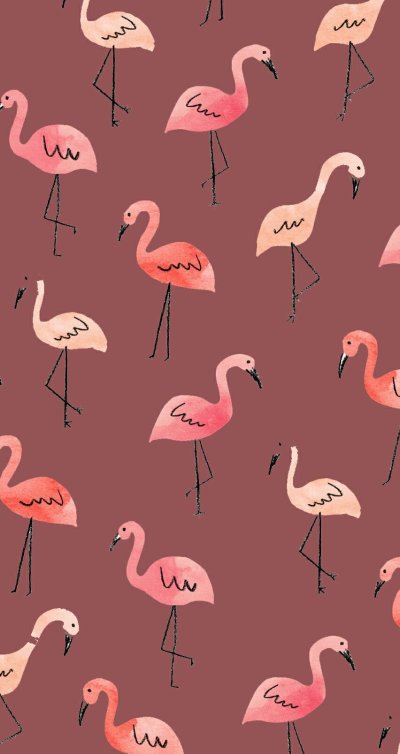 Милые Фламинго