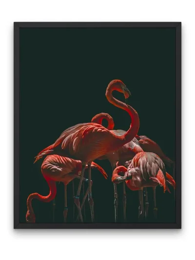 Красные Фламинго на черном фоне