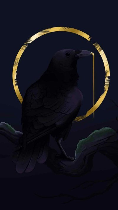 Птица Минимализм