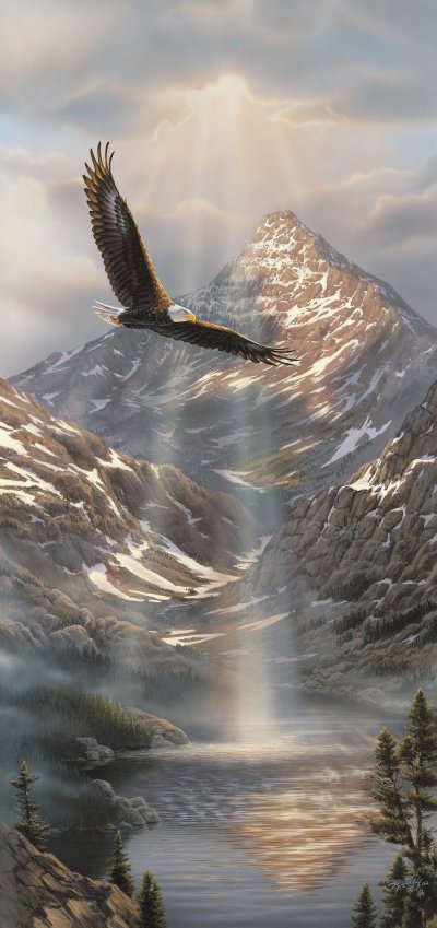 Пейзажи с орлами