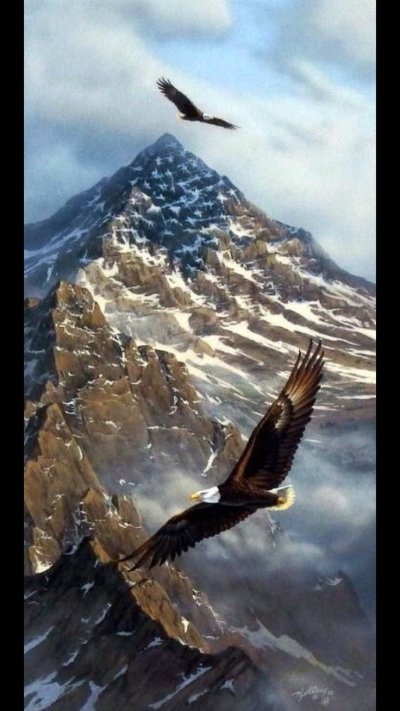 Парящий Орел