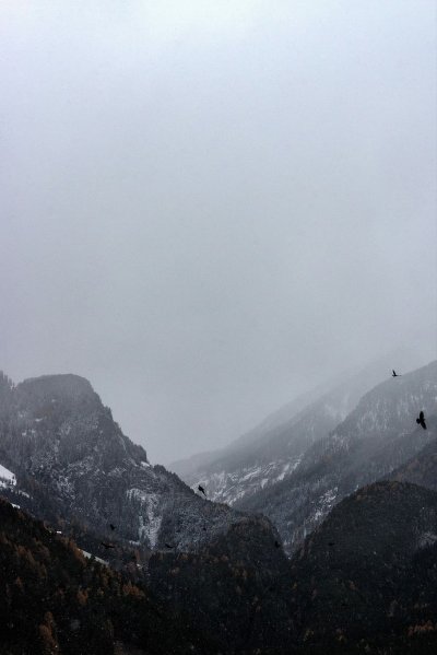 Черная гора