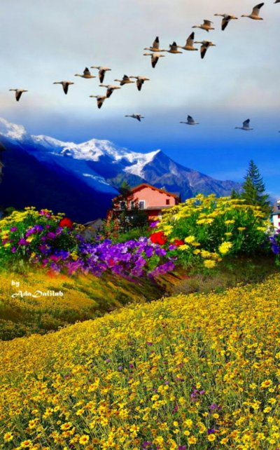 Табиат манзараси