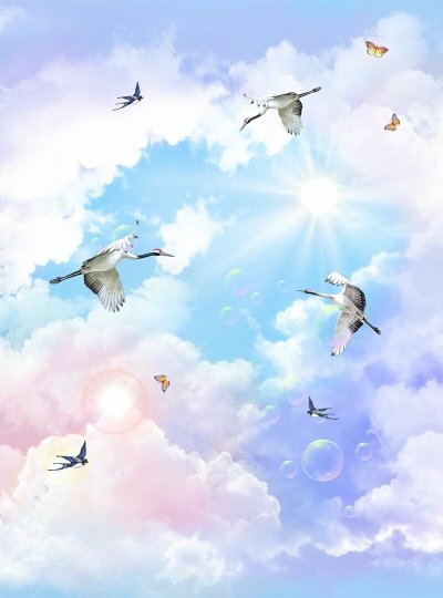 Фотообои Аисты