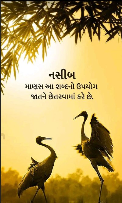 Журавли в природе