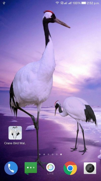 Красивые Журавли