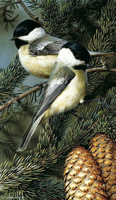 Карл Брендерс птицы