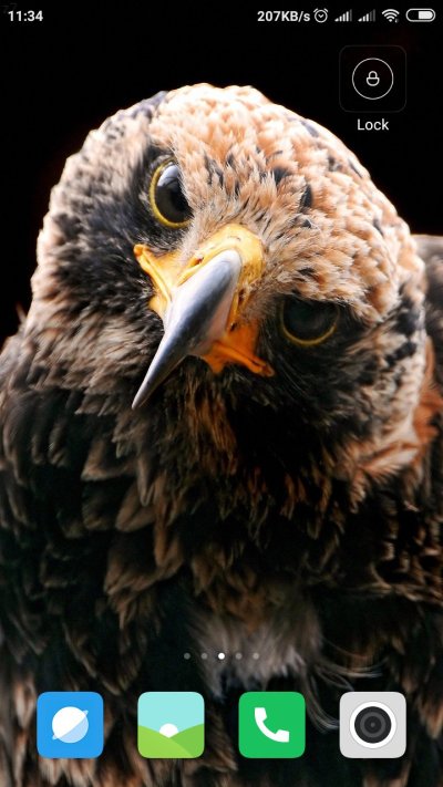 Хищные птицы