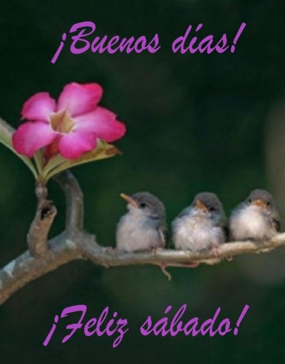 Птица на ветке