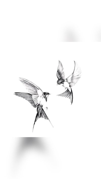 Ласточка эскиз