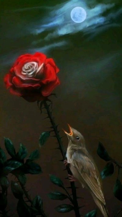 Уайльд Оскар "Соловей и роза"