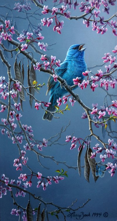 Весна птицы