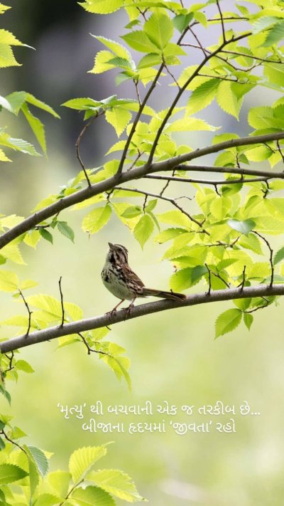 Птица на ветке