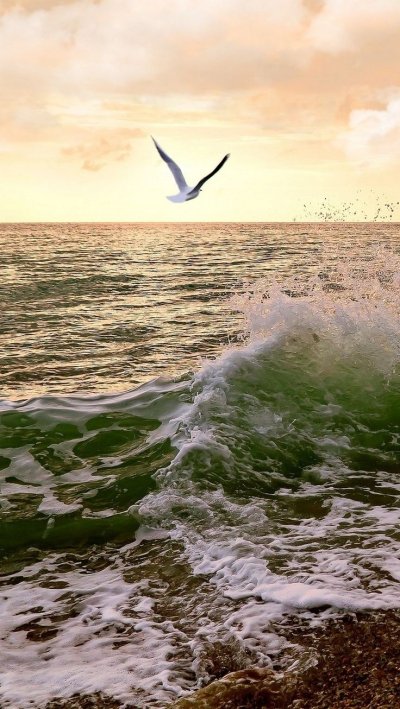 Морской Прибой