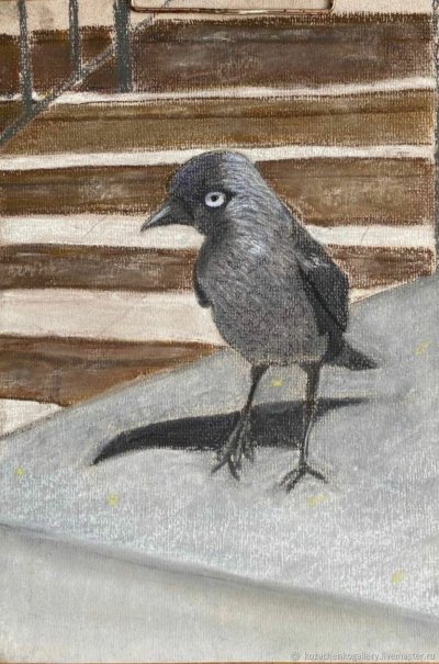 Галчонок птица