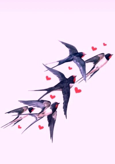 Ласточка иллюстрация