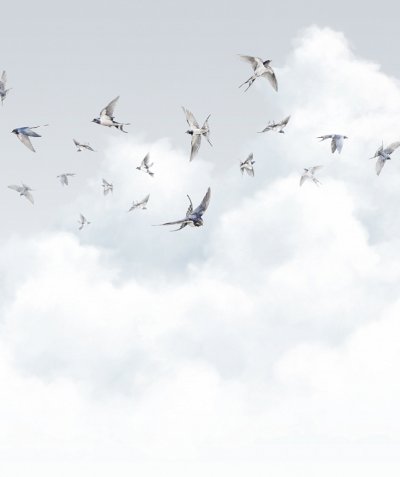 Птицы в небе