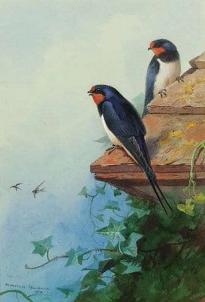 Художник Арчибальд Торберн