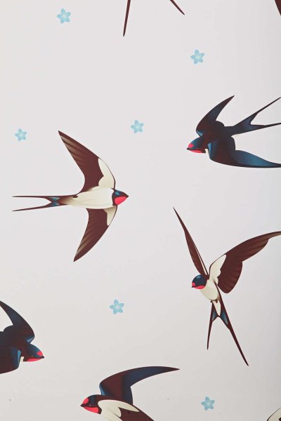 Обои с ласточками