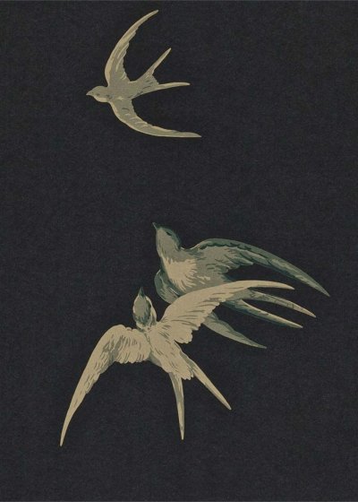 Ласточка Эстетика