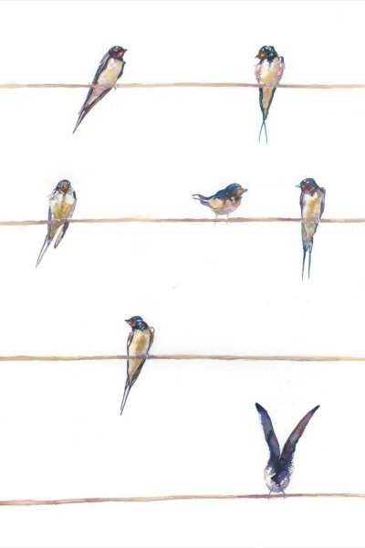 Ласточка рисунок красками