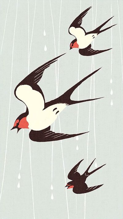 Ласточка иллюстрация