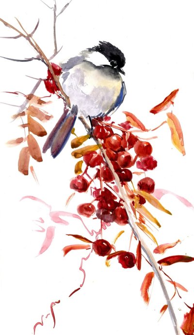 Птичка акварелью