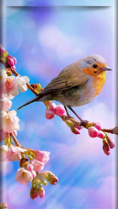 Весенние обои на андроид