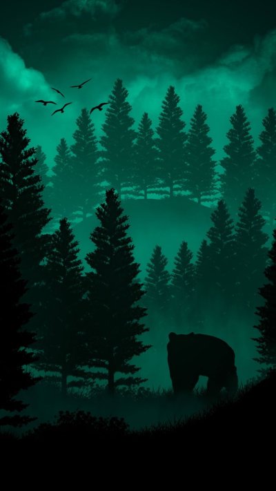 Обои на телефон с лесом