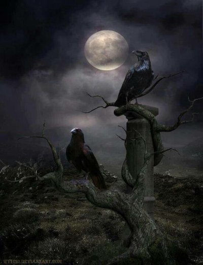 Мистические вороны