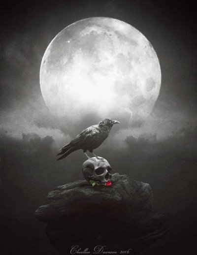 Ворон с луной