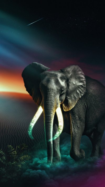 Красивый слон