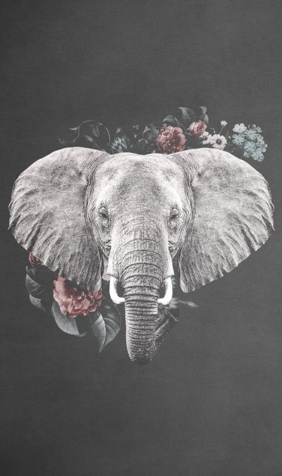 Слон заставка