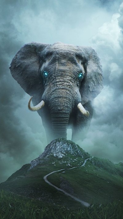 Облако слон