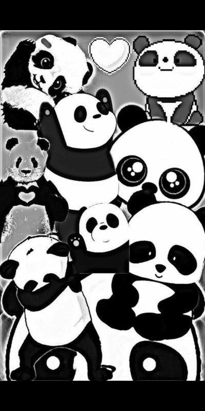 Панда обои