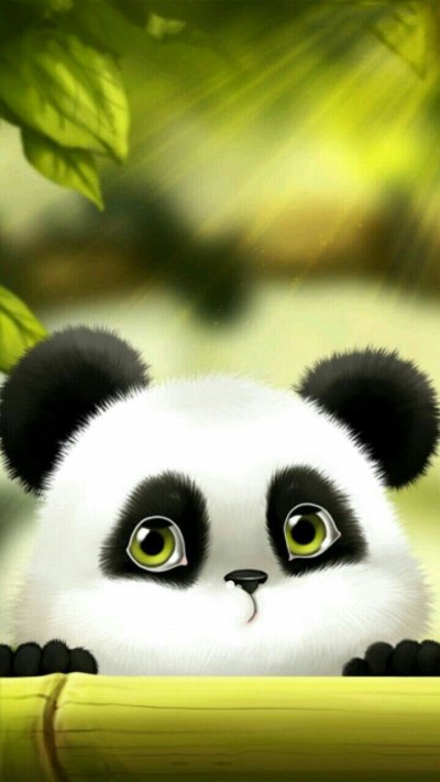Панда на заставку