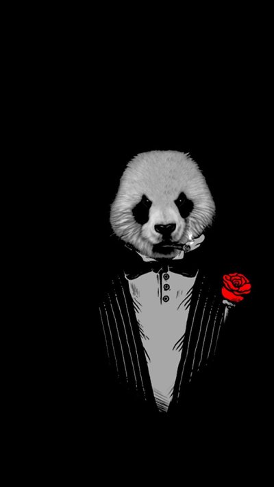 Панда на черном фоне