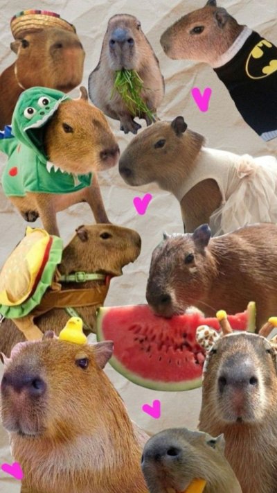 Капибара альбинос