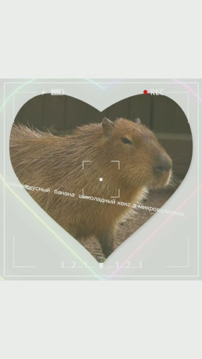 Счастливая капибара