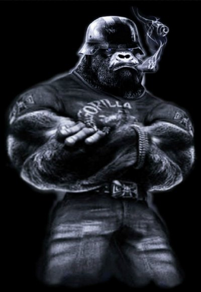 Горилла пауэрлифтер